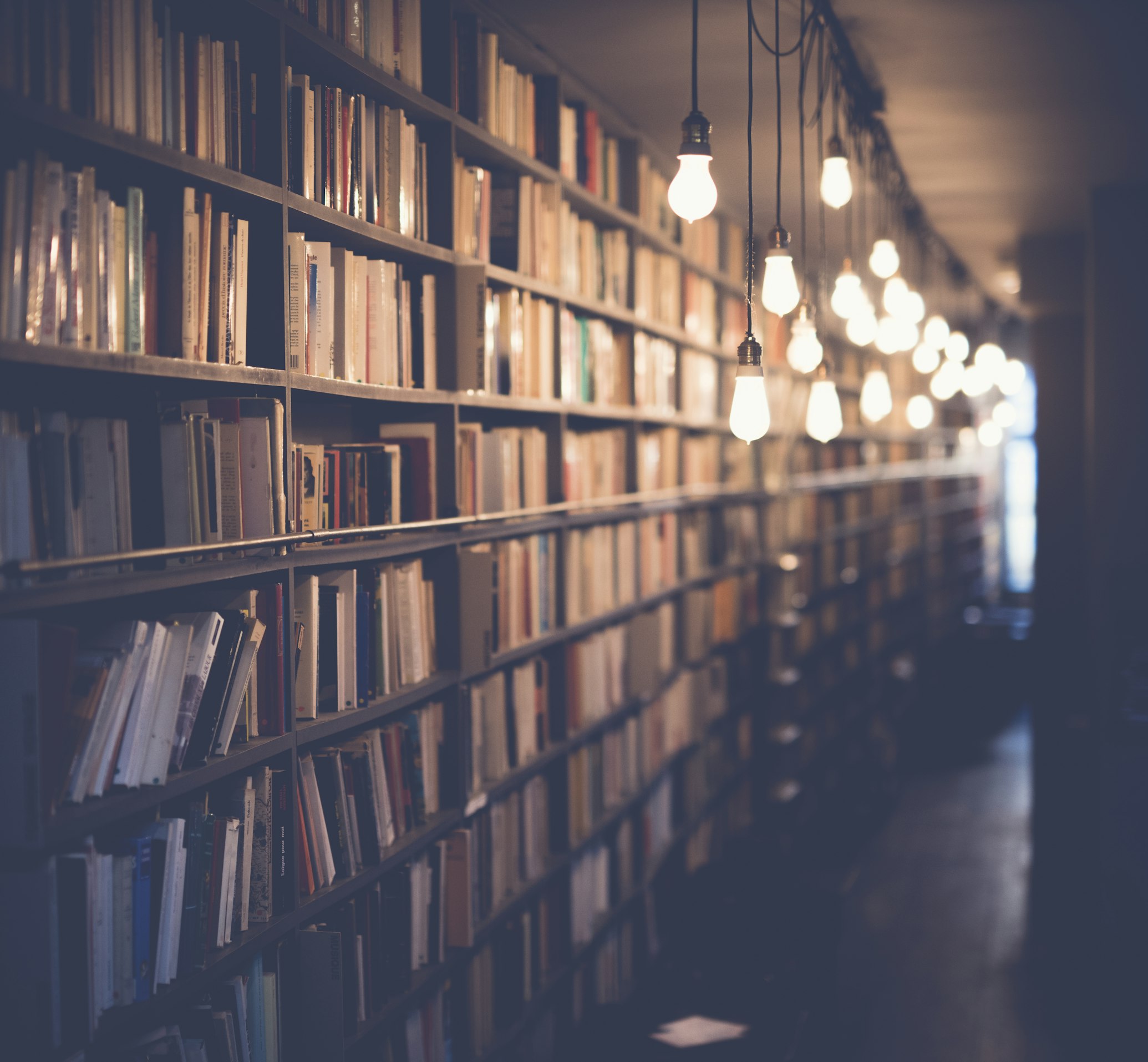 طلاب يدرسون في مكتبة أكاديمية حديثة